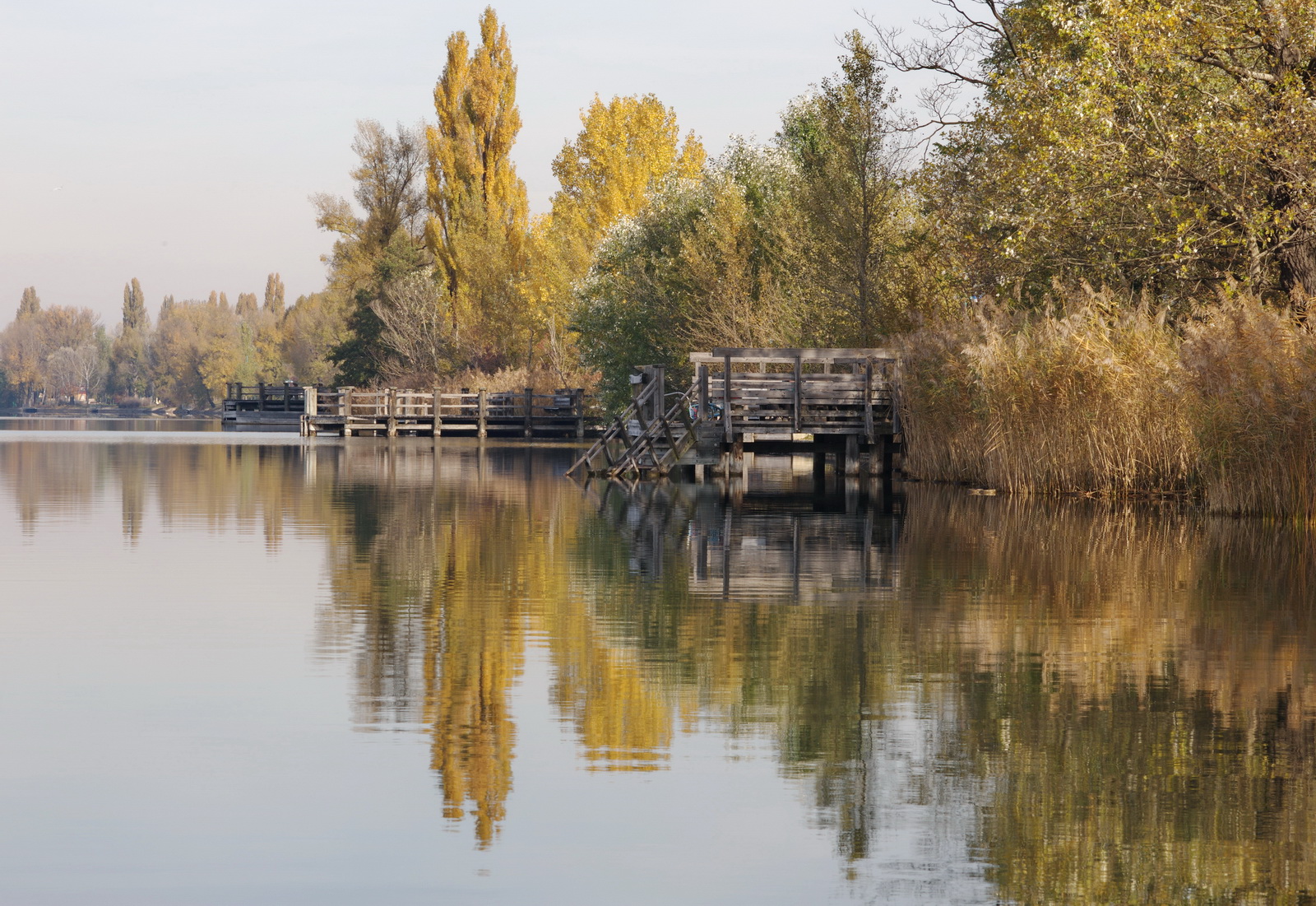 Autumn.colours.alte.donau 2010