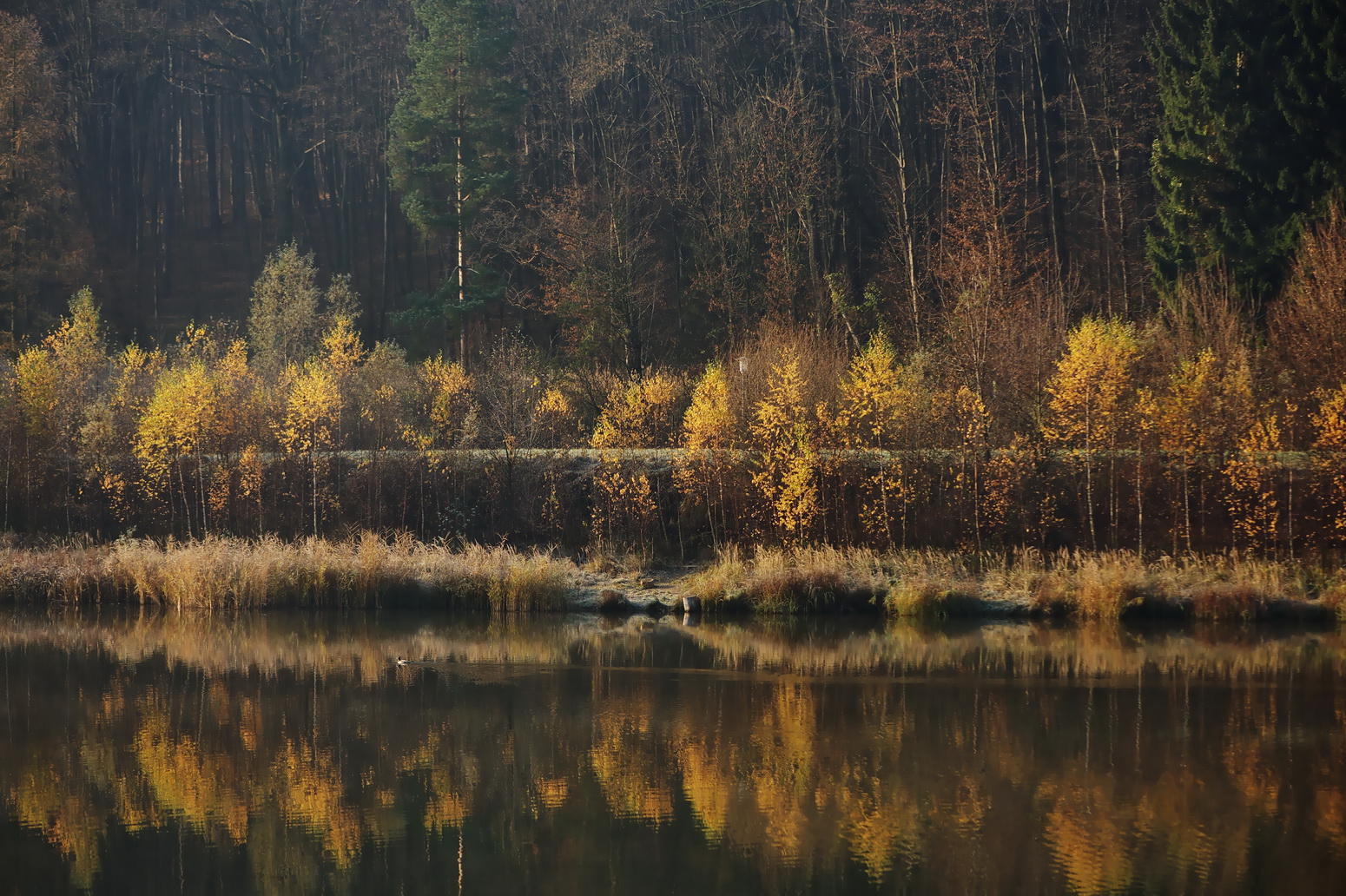 Landscape Photography