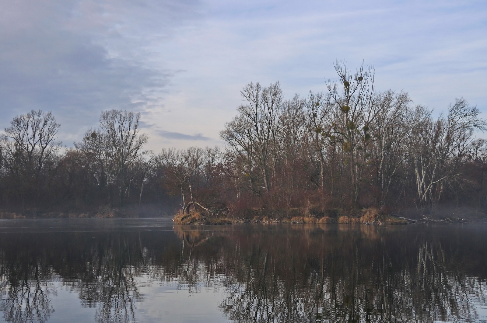 Chilly.dezember.morning 2009