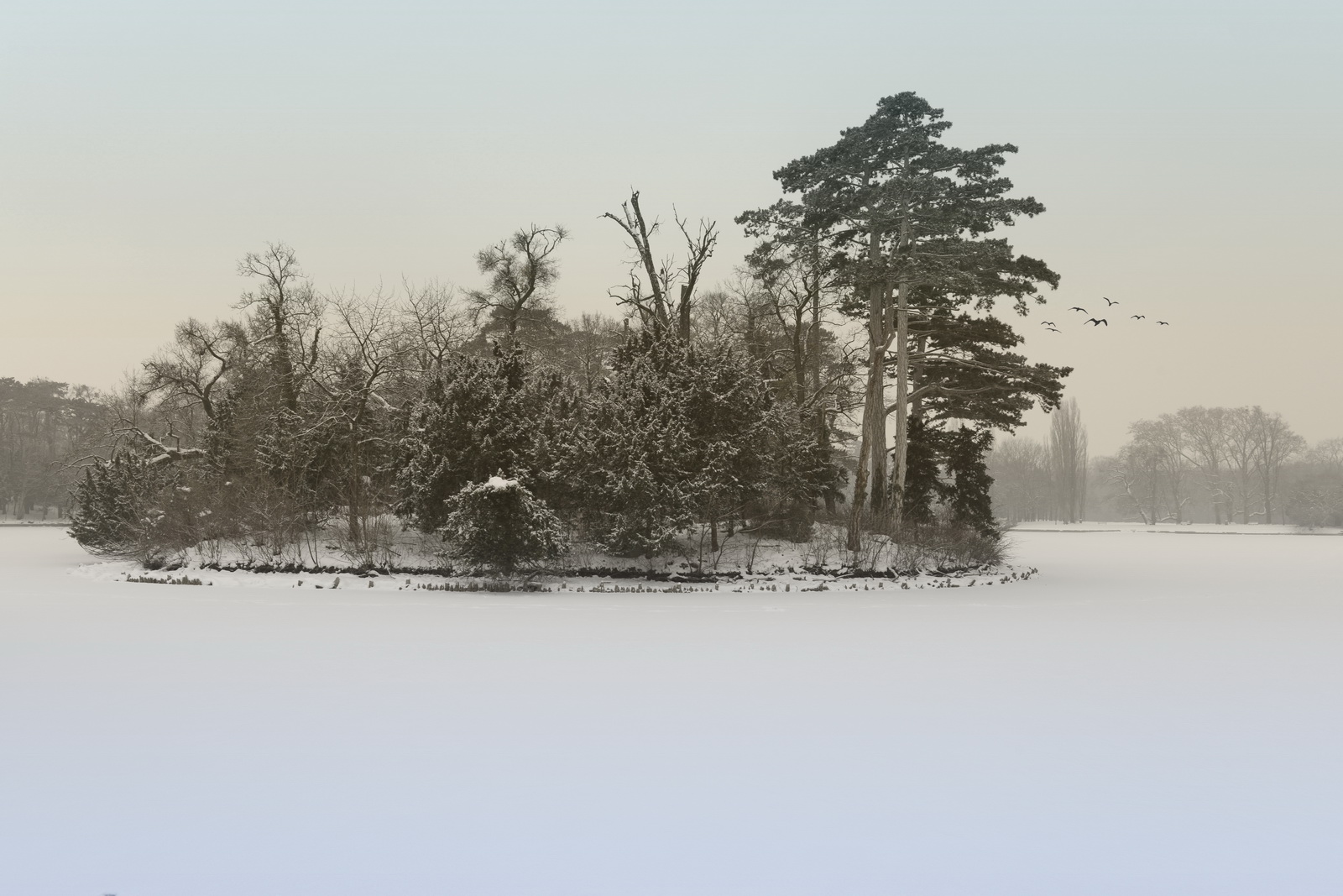 Chilly.winterday.in.schloss.laxenburg 2013