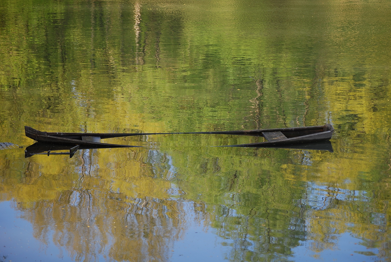 Farewell.in.the.swamplands 2008