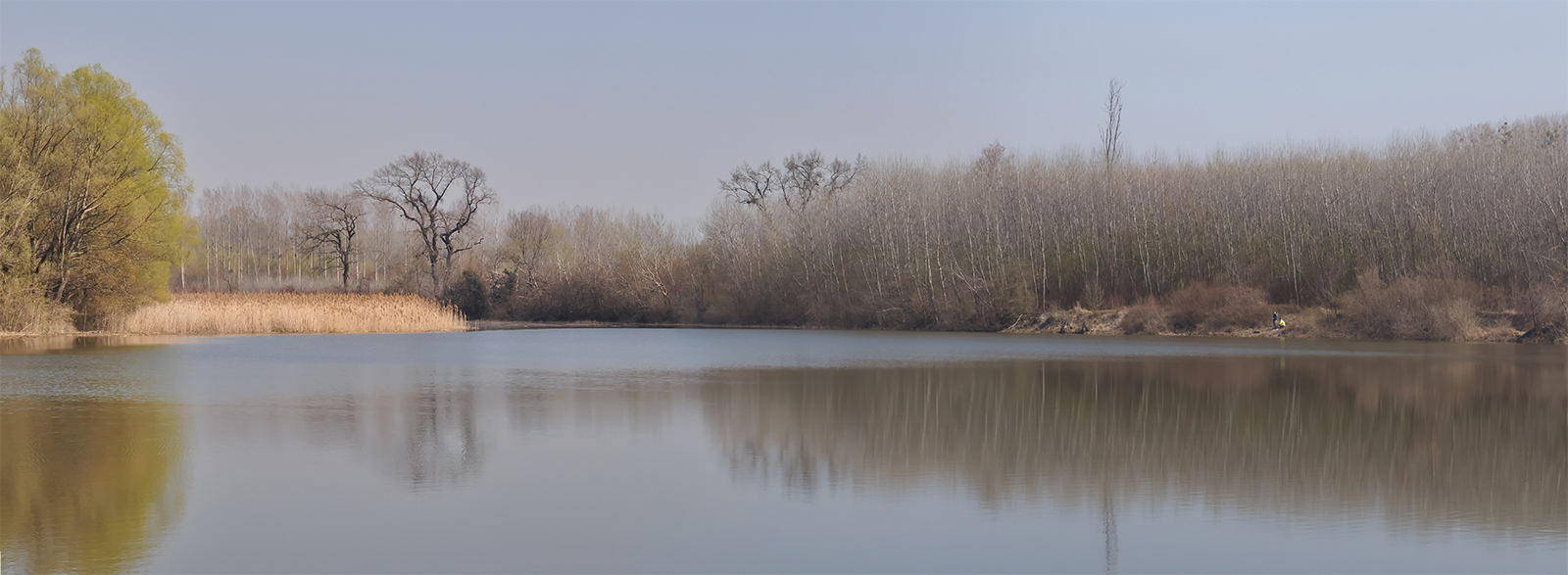 First.spring.panorama1 2019