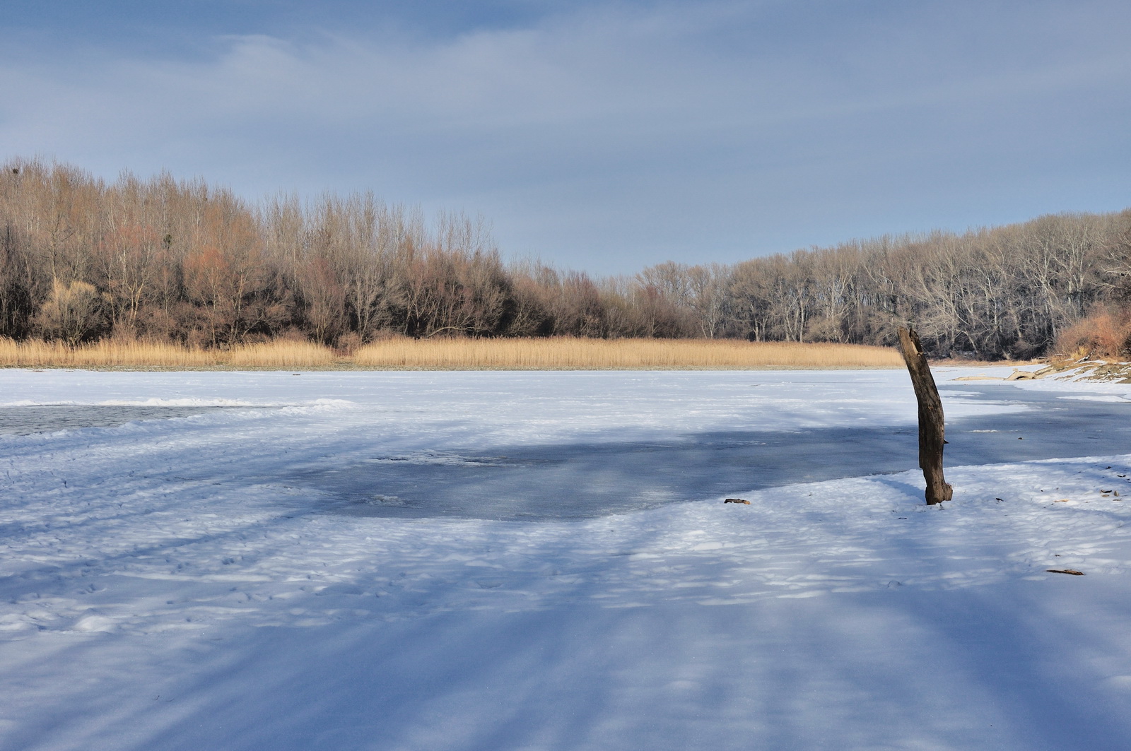 Frozen.danube.arm 2009