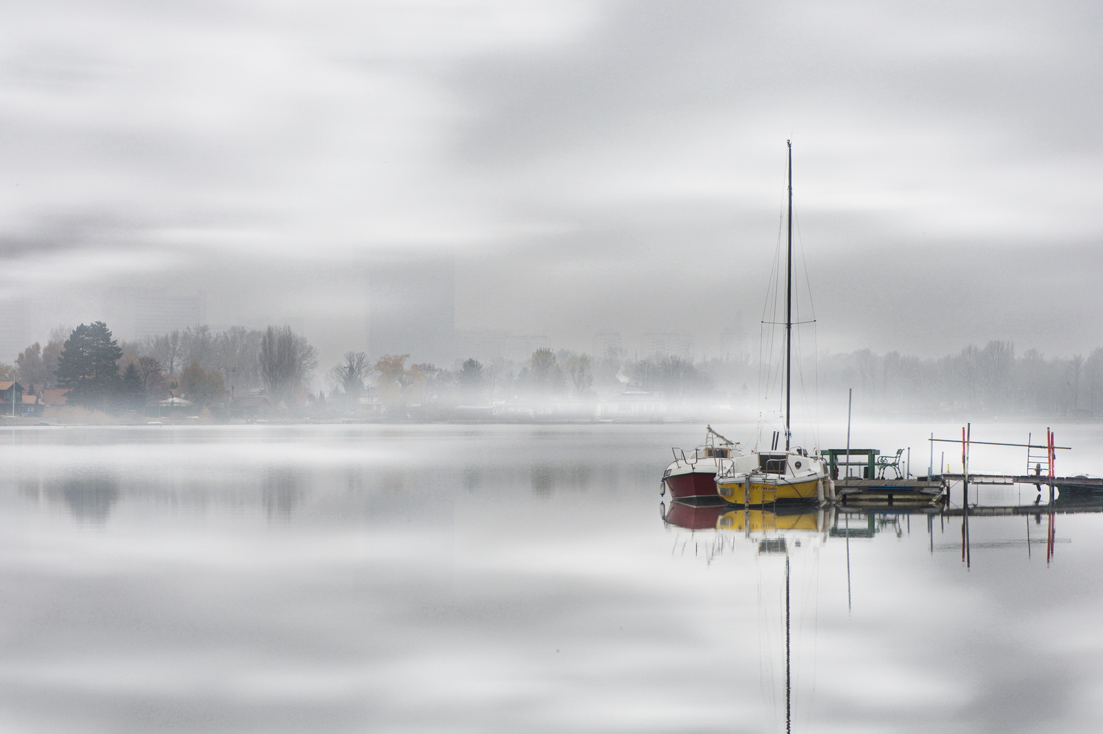 Hibernation.alte.donau 2011