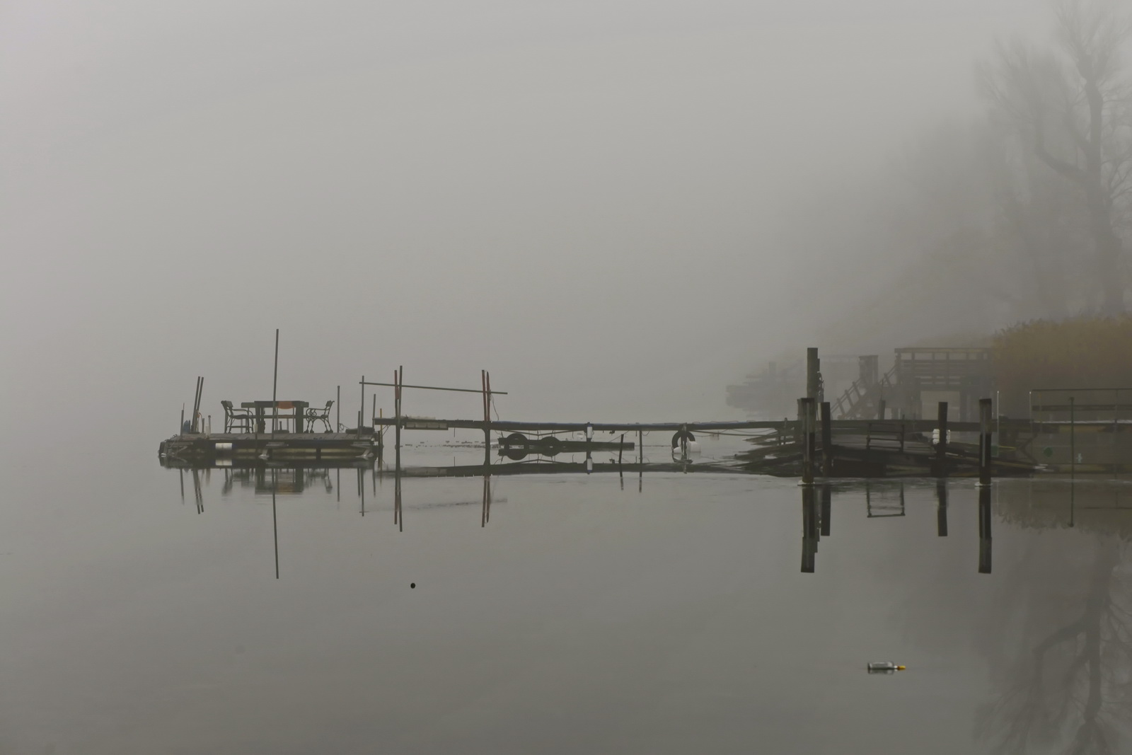 Hibernation.alte.donau 2012