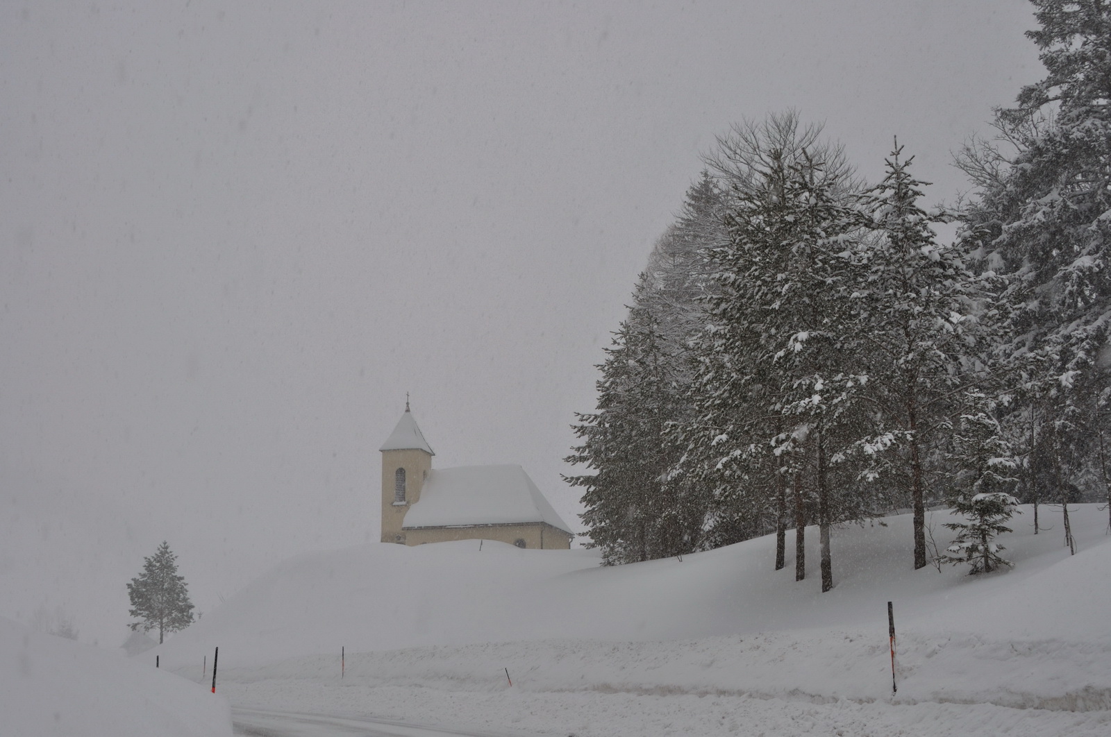 Hibernation.in.the.alps 2009