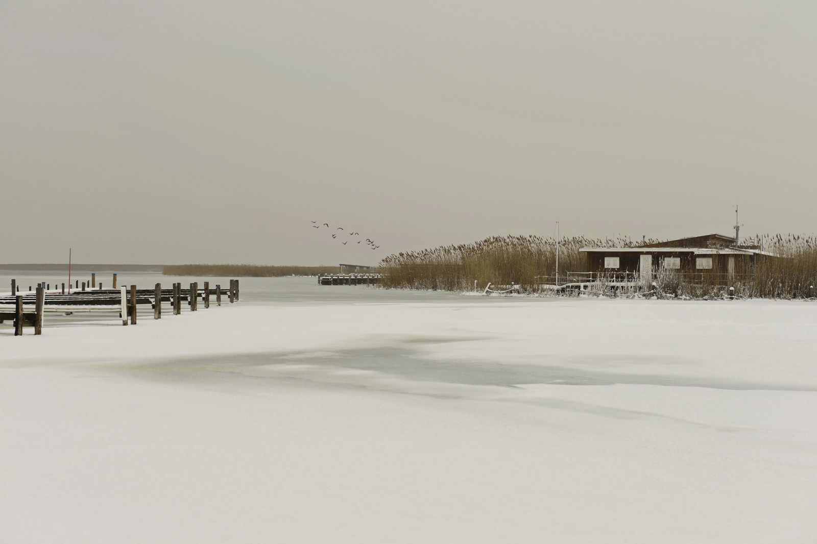 Hibernation.lake.neusiedl 2013