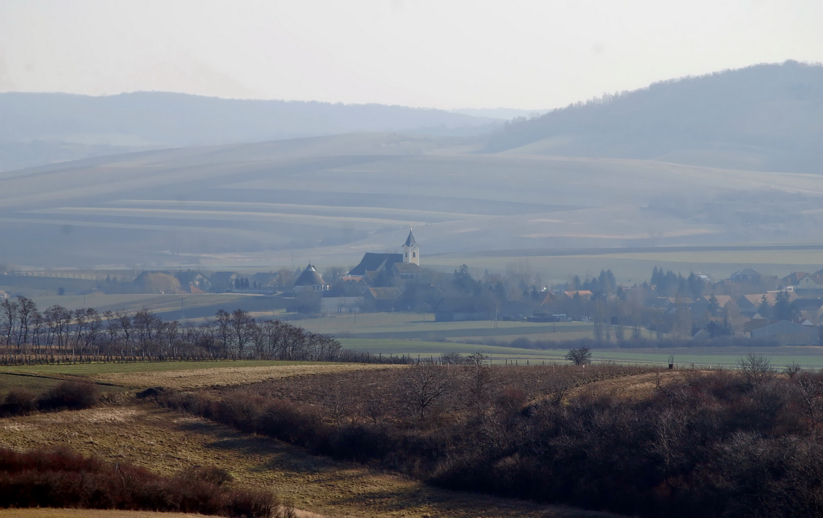 Hibernation.weinviertel.2009
