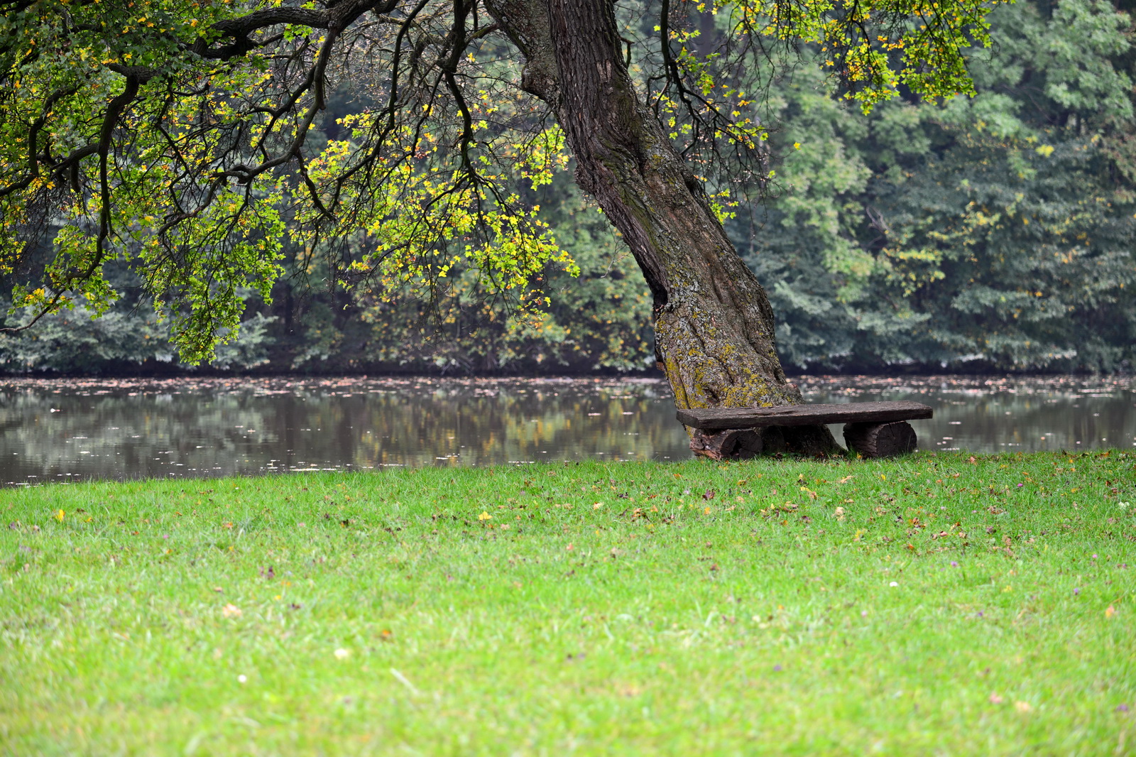 Iyllic.niche.Harrach.Park 2014