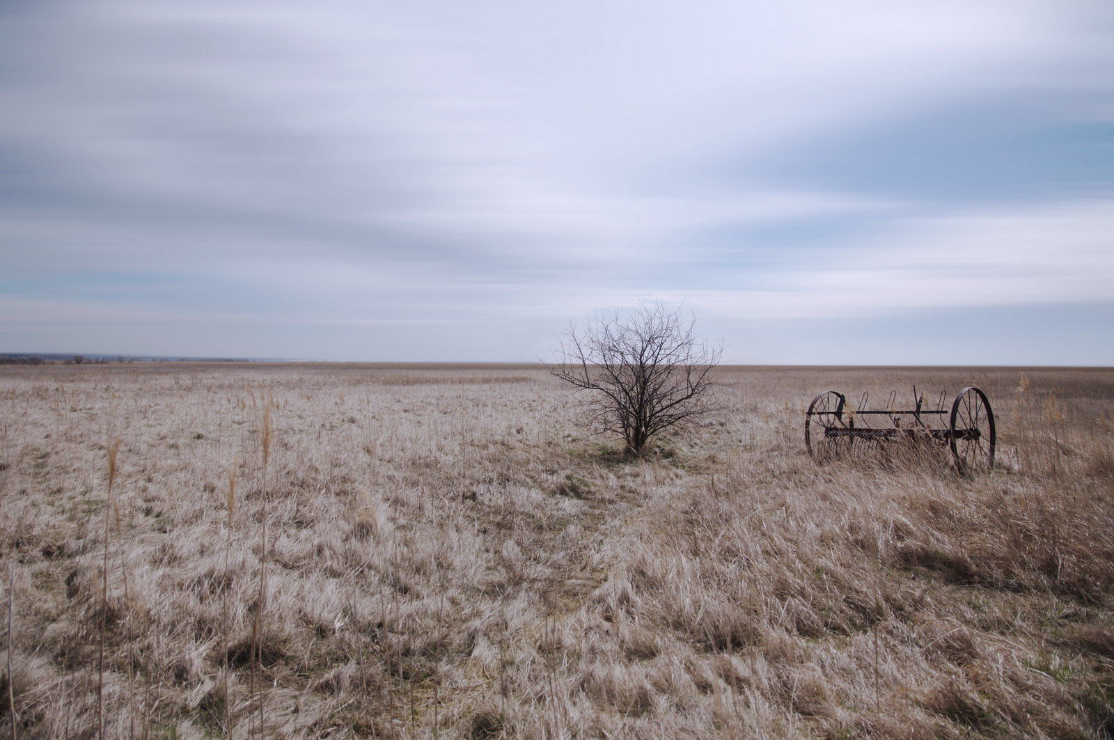 Lake.neusiedl.impression 2009