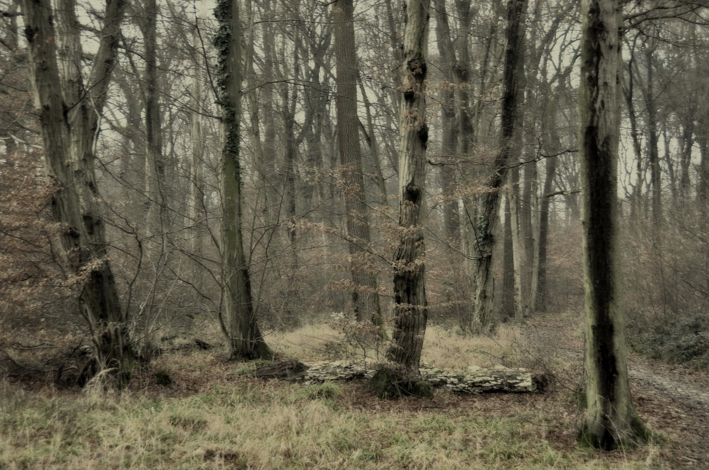 Landscape.study2 2016