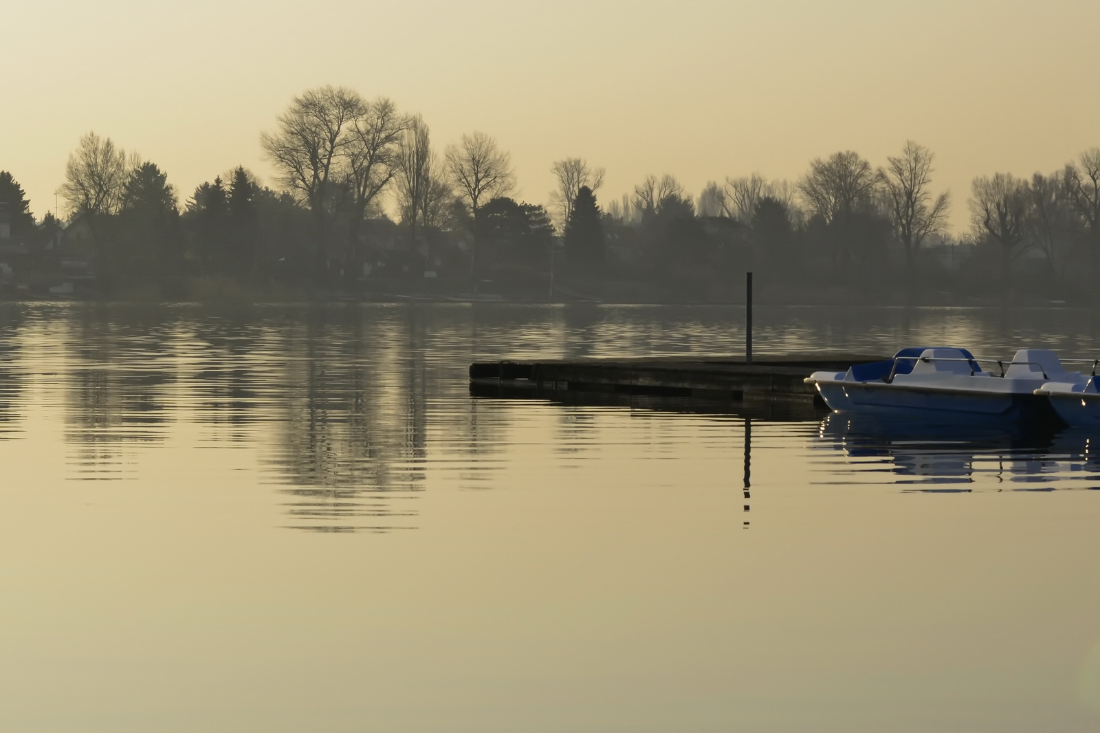 Morgenstille.alte.donau 2013