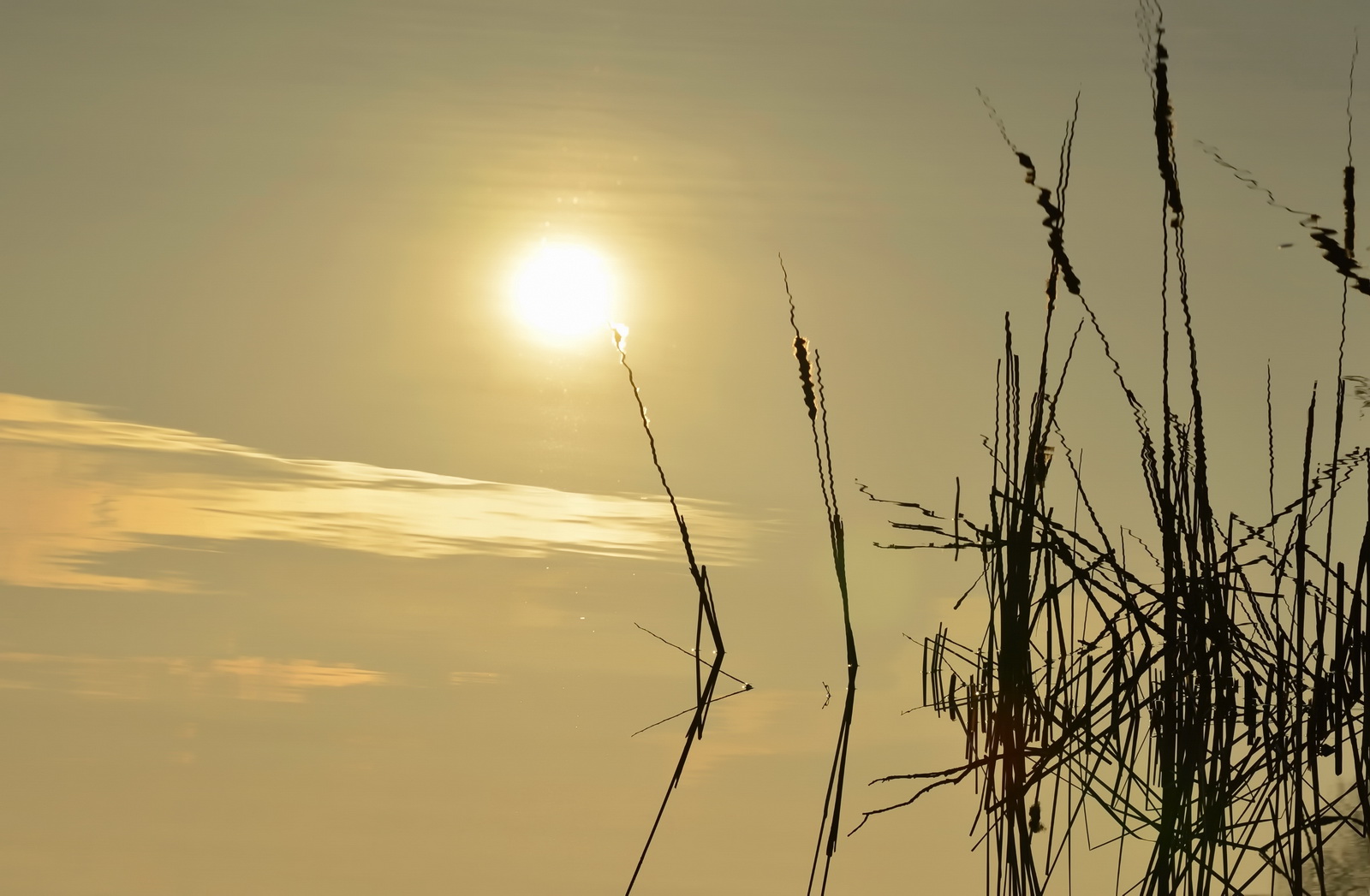 Sonnenaufgang.alte.donau 2013