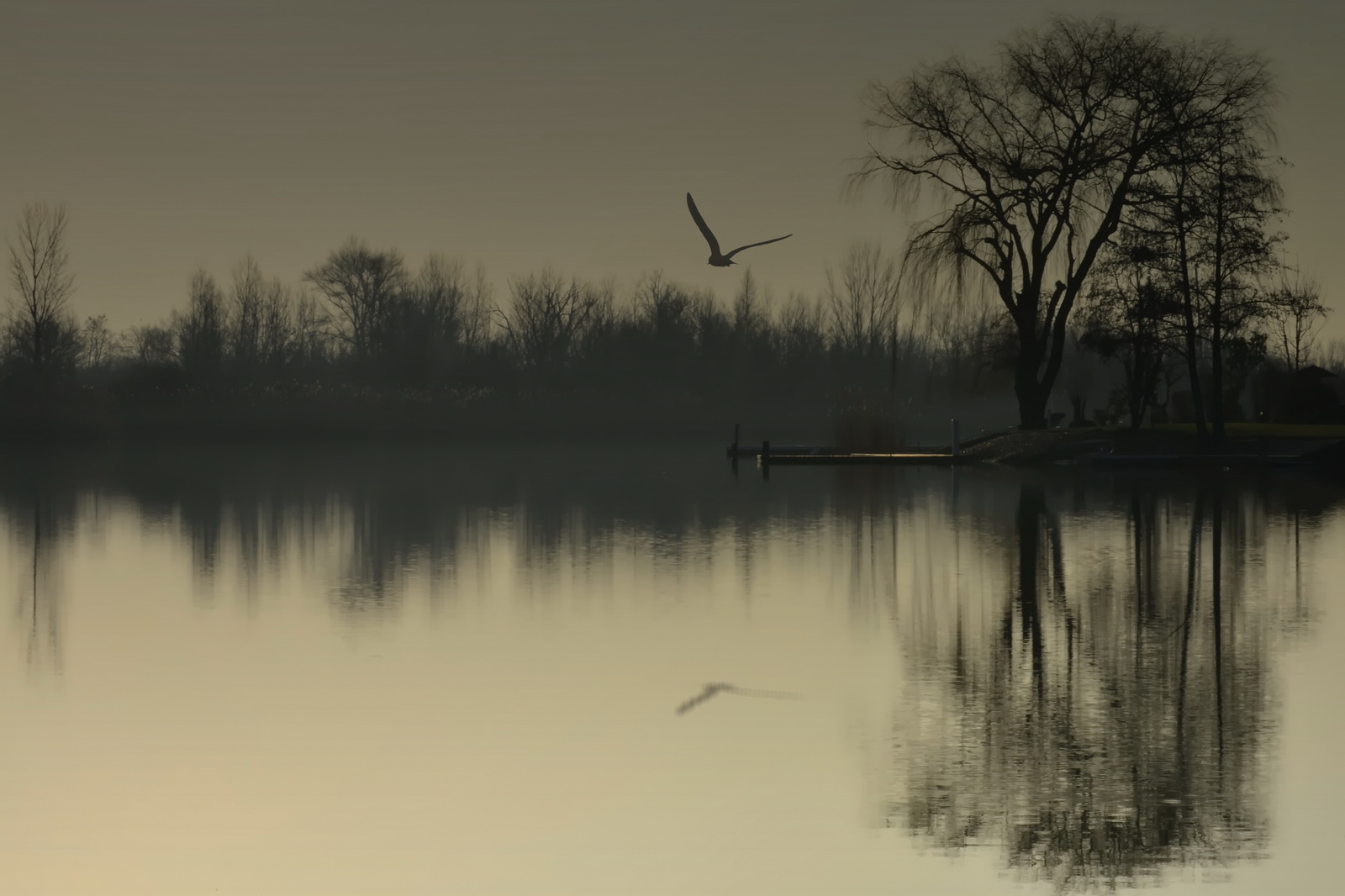 Sound.of.silence.seepark.weiden 2015