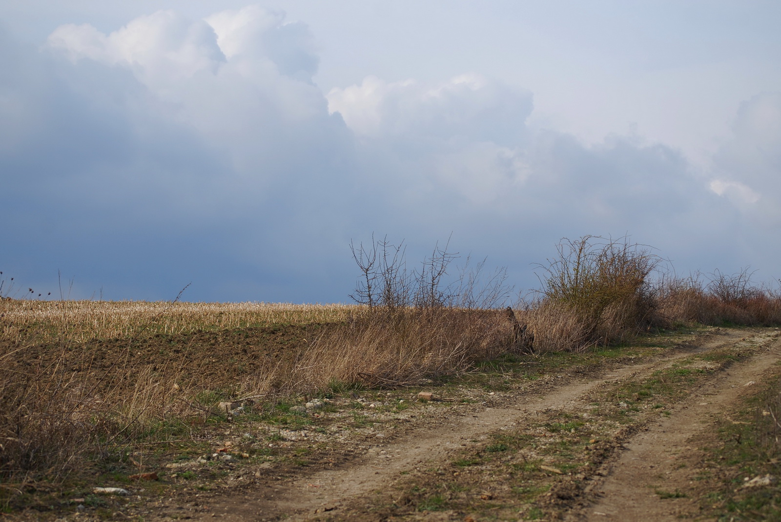 Stormy.atmosphere.in.march 2008