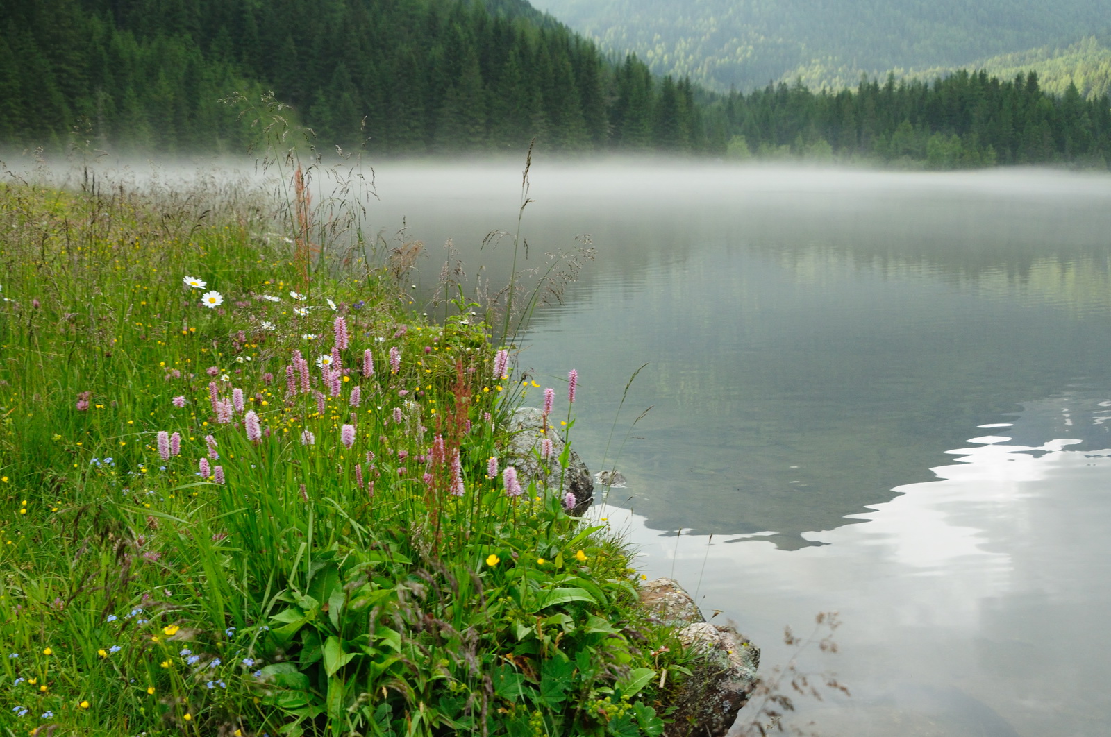 Summer.morning.etrachsee 2009