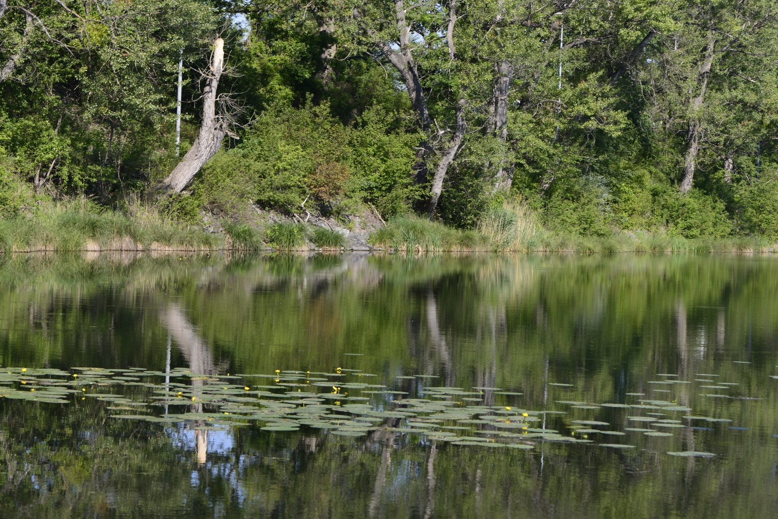 Summer.paradise.dechantlacke 2012