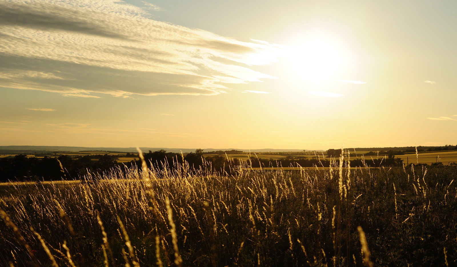 Summer.sunset.weinviertel 2009