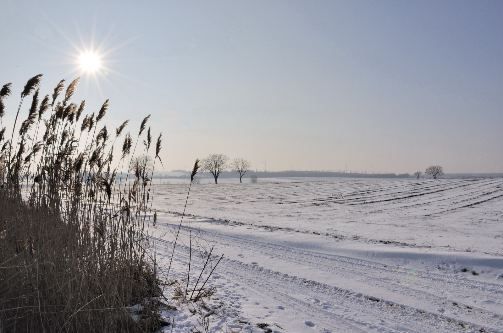 Sunny.winterday.on.the.fields 2009