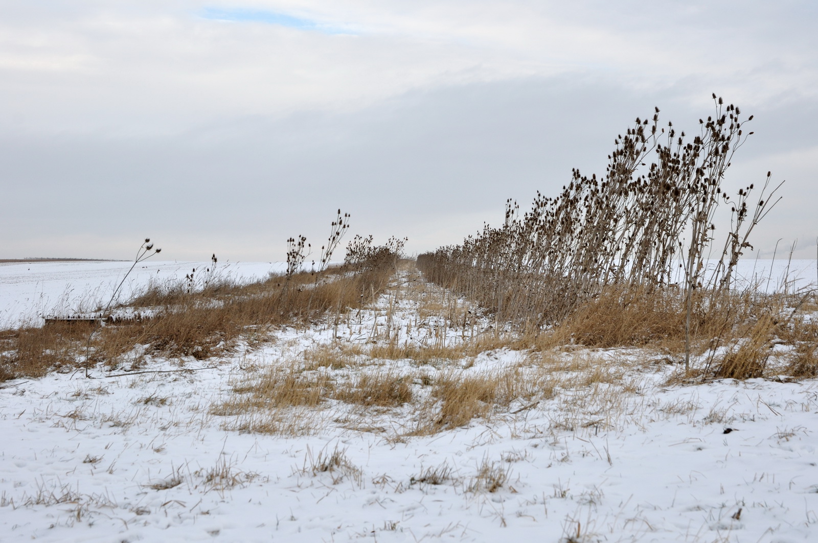 Winter.scenery.on.the.fields 2009