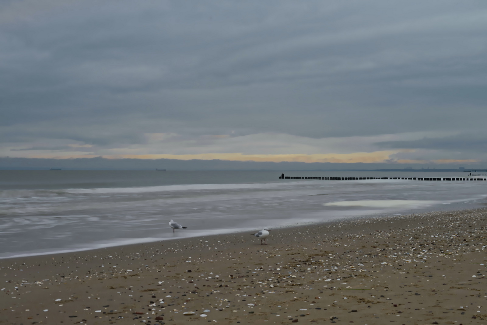 Beach of basin on usedom 2016