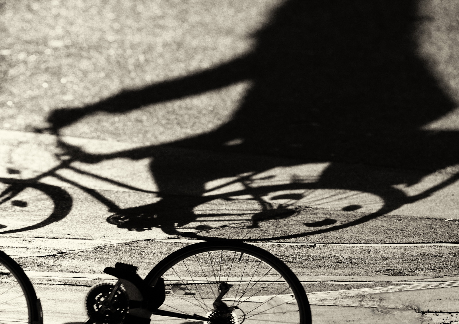 Ghosty.bicyclist 2011