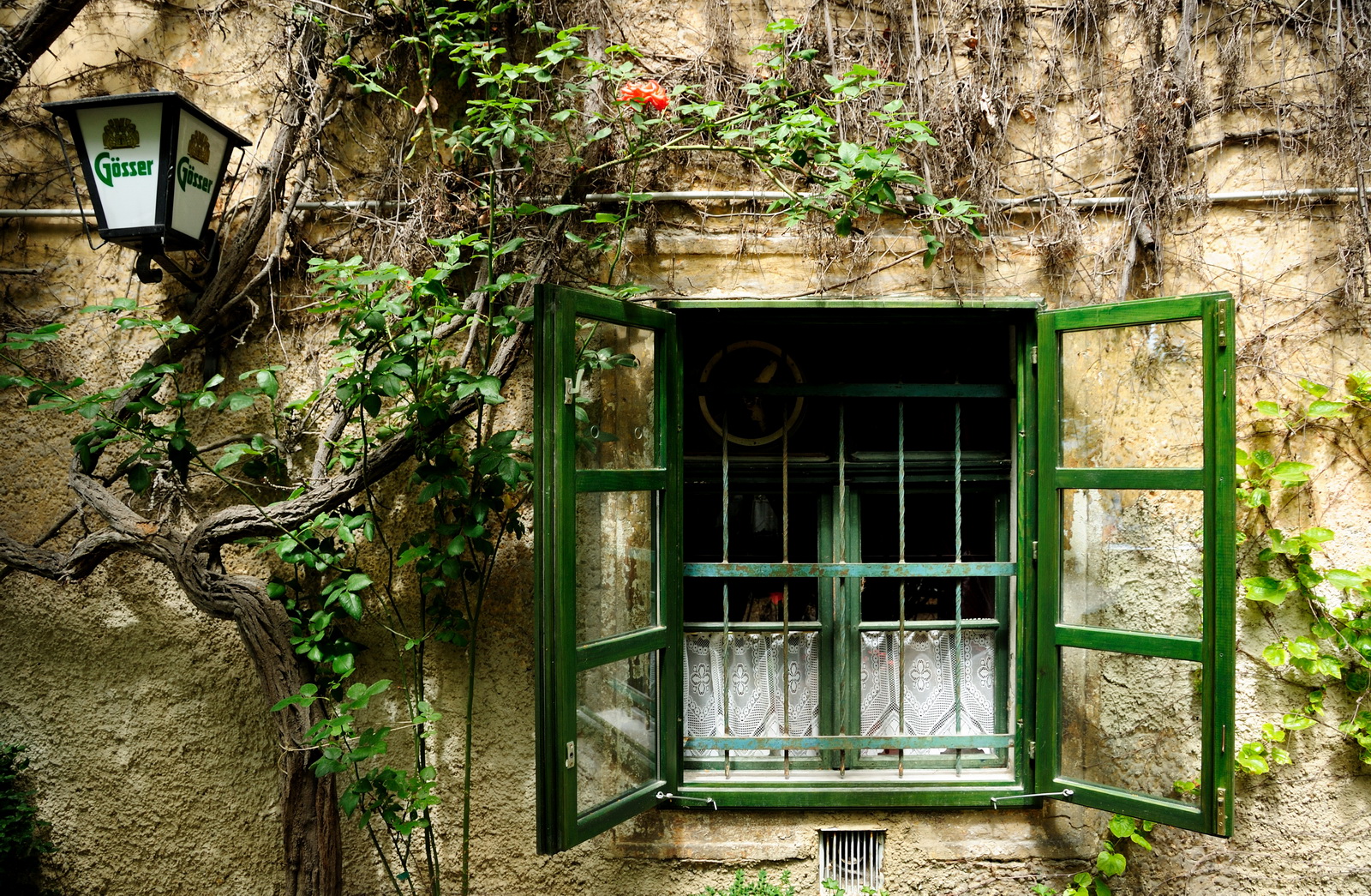 Historical.facade.schloss.harrach 2009