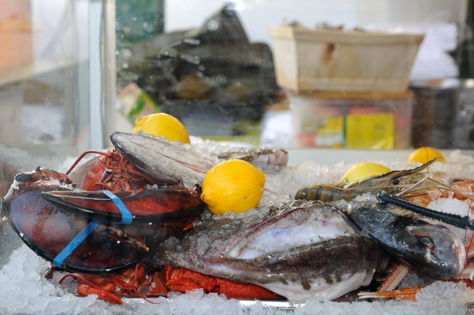 Saturday.on.naschmarkt3 2009