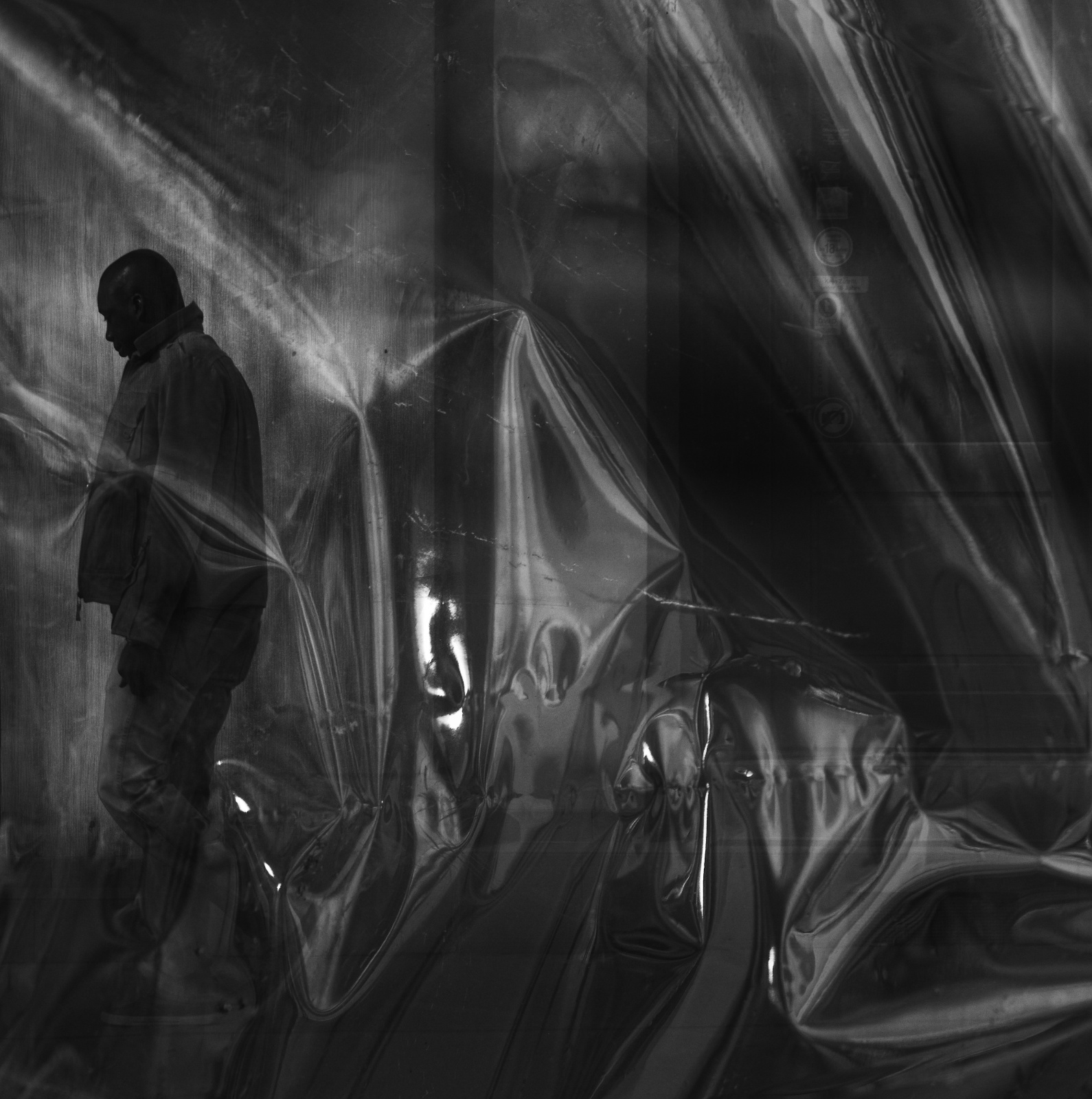 Silhouette.behind.the.foil 2012