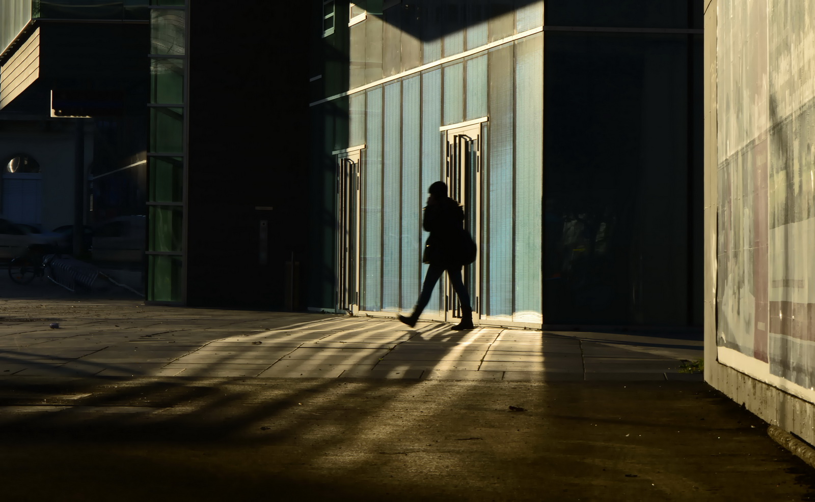 Sunny.november.shadow 2012