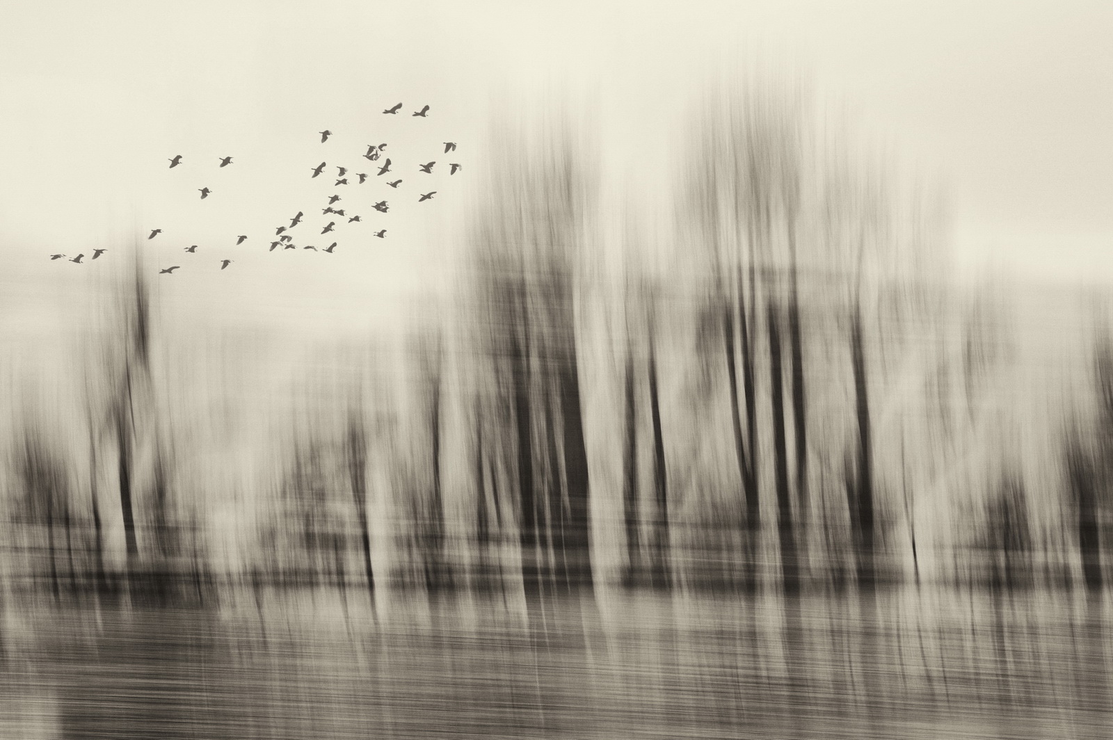 December.mood.abstract 2011