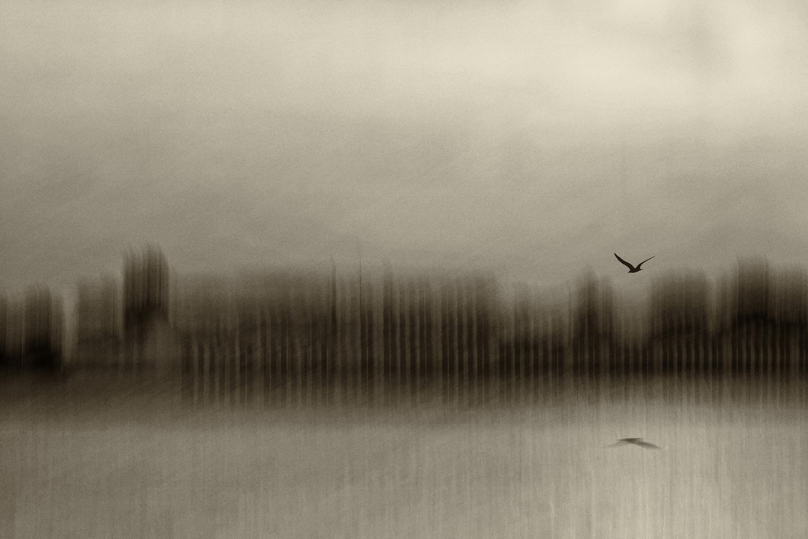 Evanescent.river.side 2012