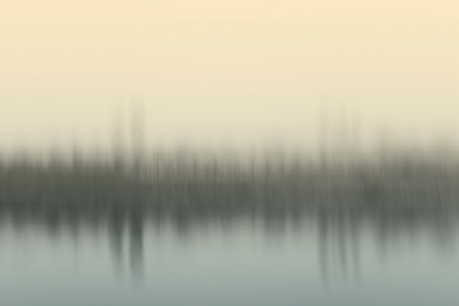 Dissolving.river.bank 2012