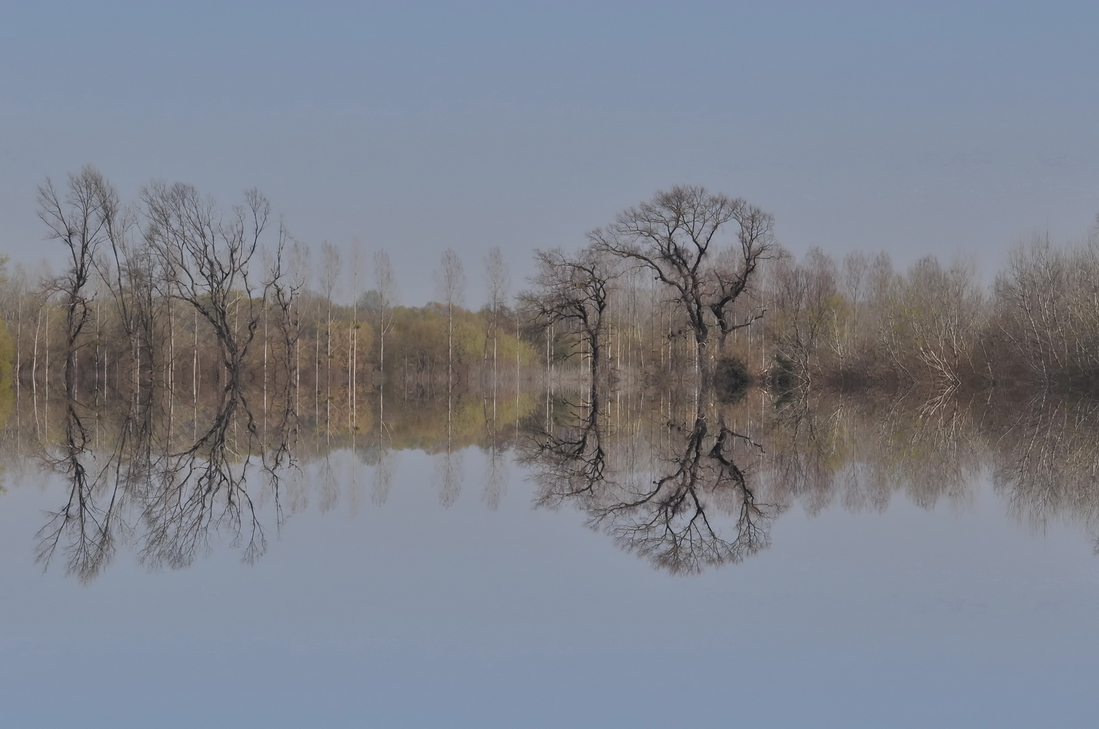 Swampland.reflection1 2019