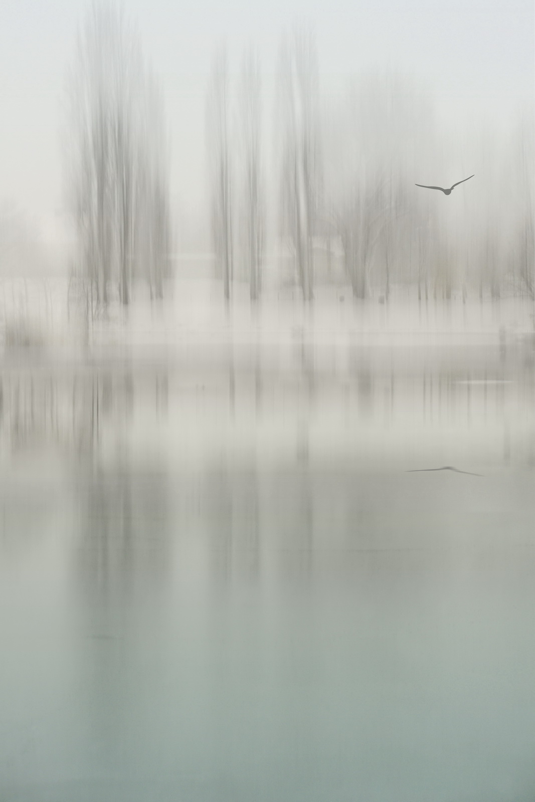 Winterdream.in.my.mind 2013