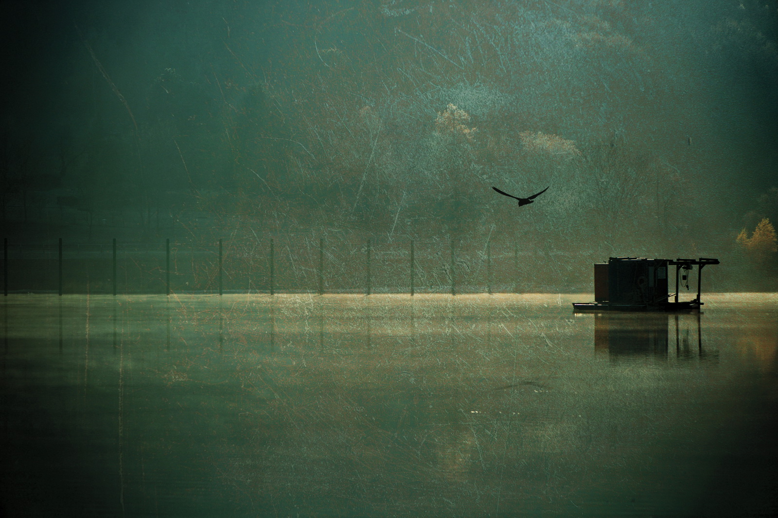 November.morning.on.the.lake 2011