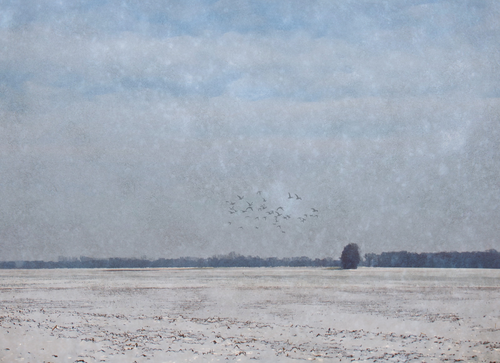 Painterly.winter.impression 2012