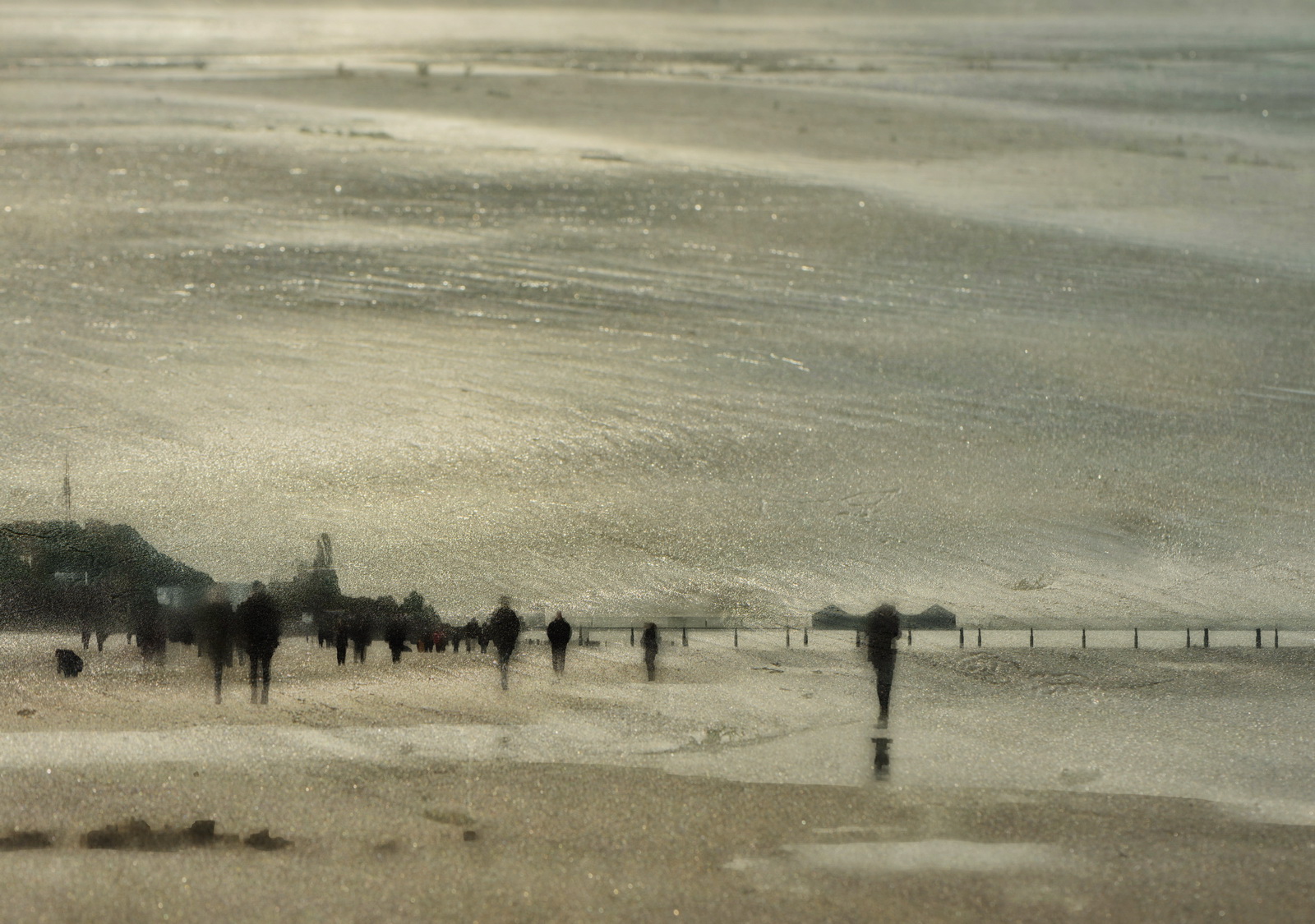 Abstract.beach.scenery2 2016