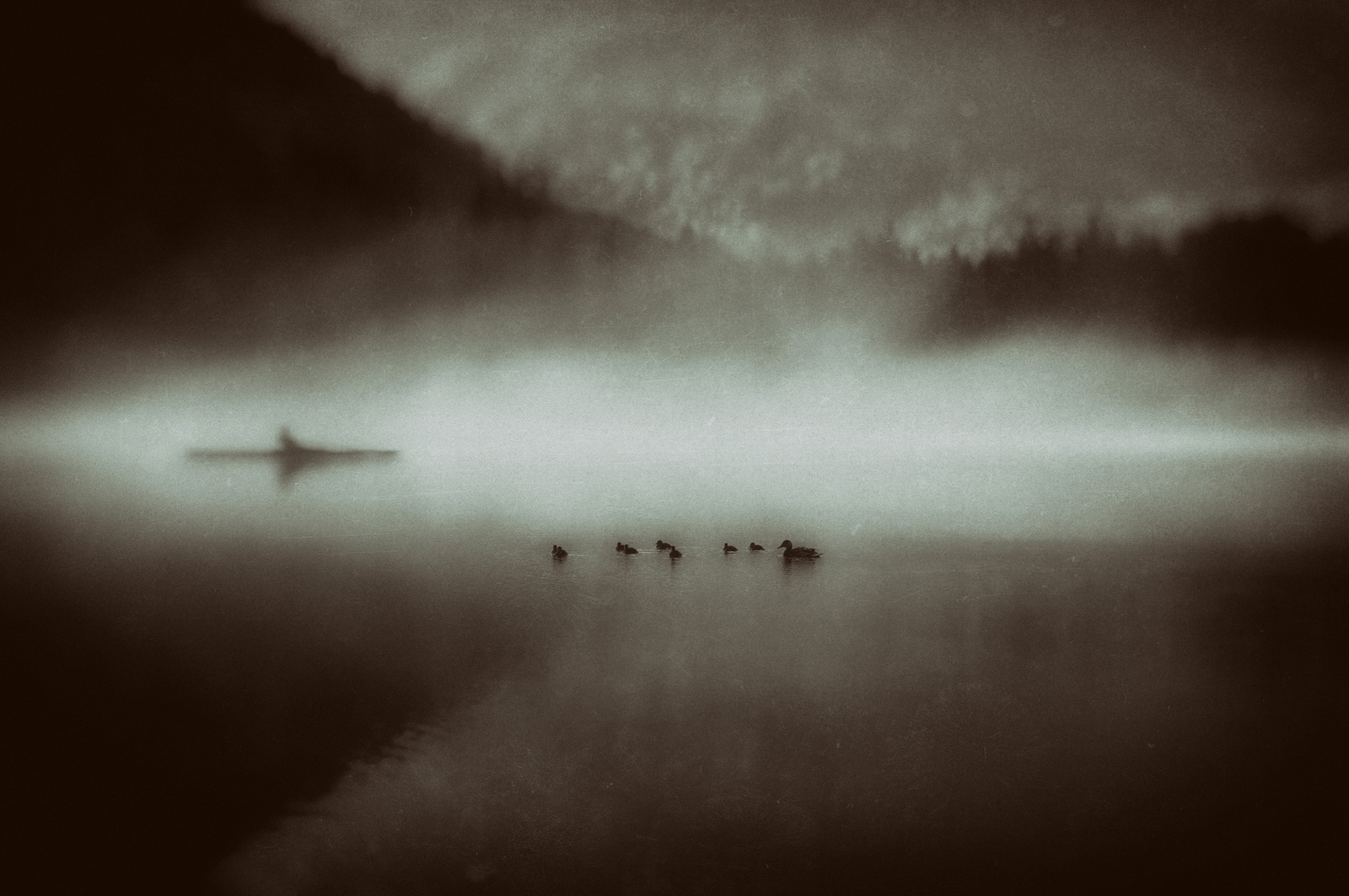 Dreaming.in.still.water 2009