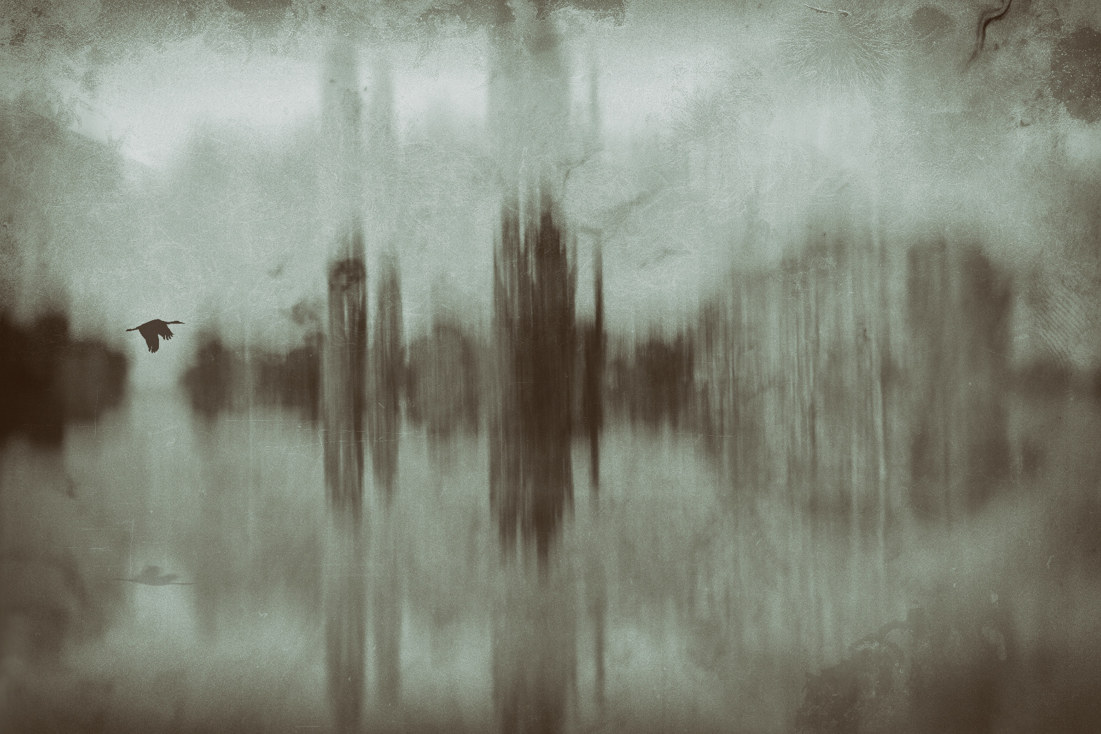 Heading.towards.wetlands 2014