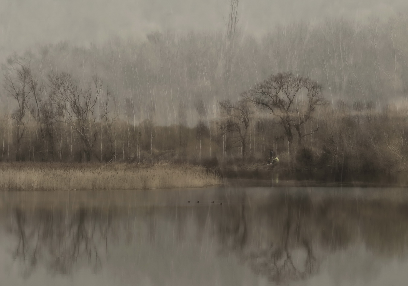 In.harmony.with.nature 2019