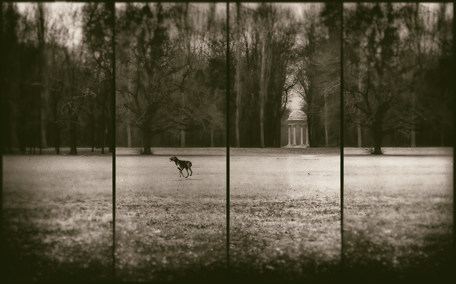 Joie.de.vivre 2012