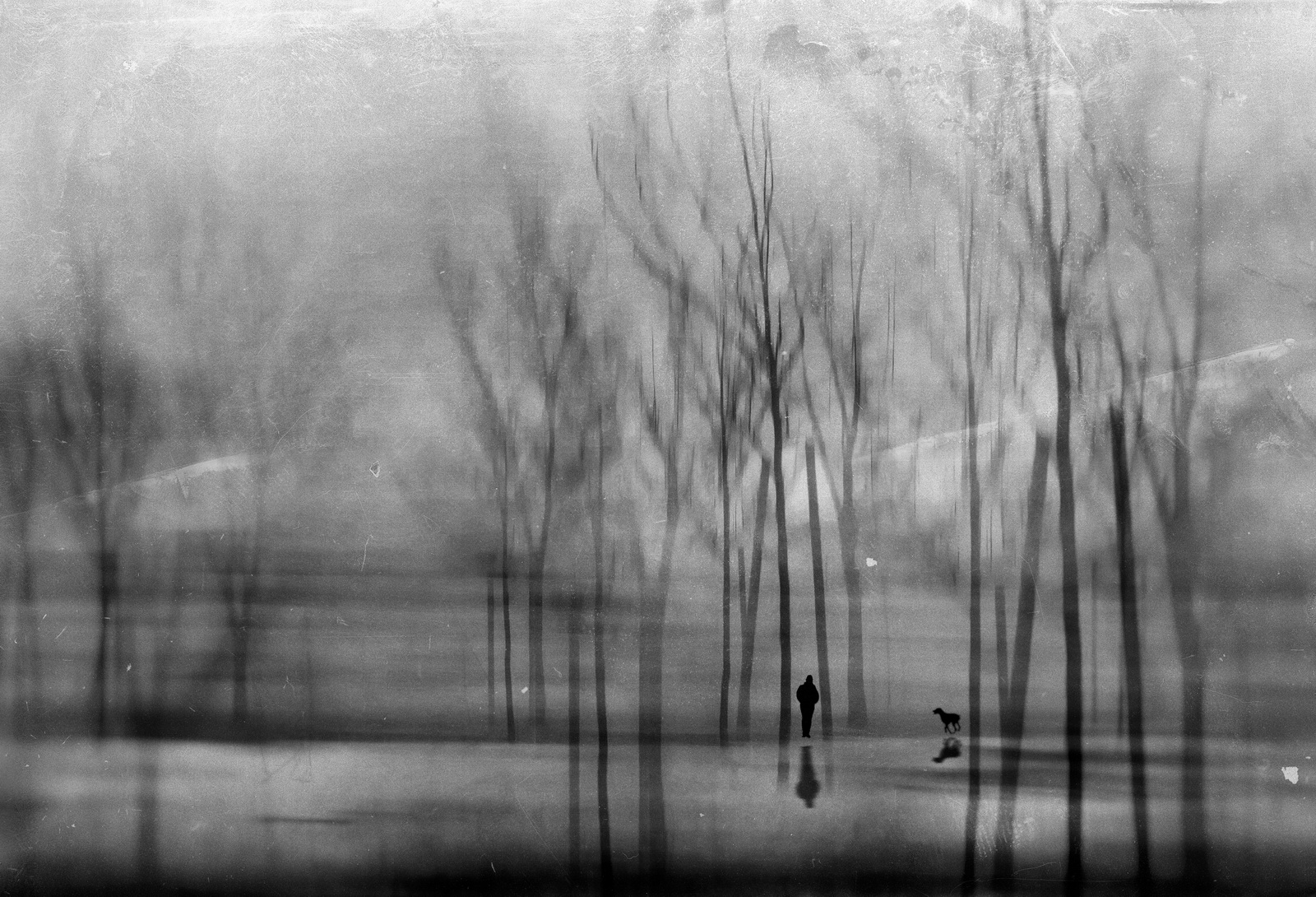 Looking.into.the.pond 2015