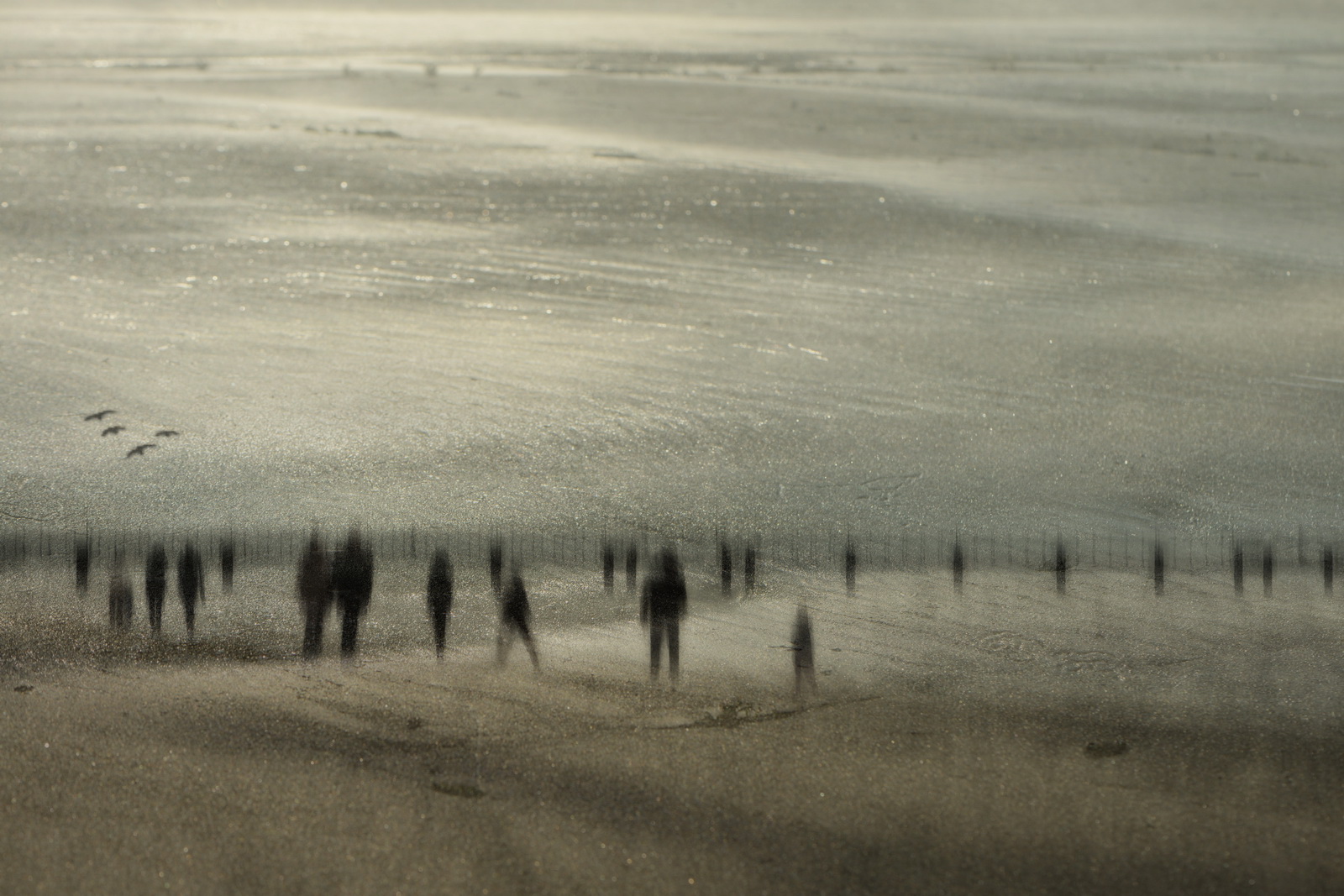 Usedom.beach.imagery.abstract 2016