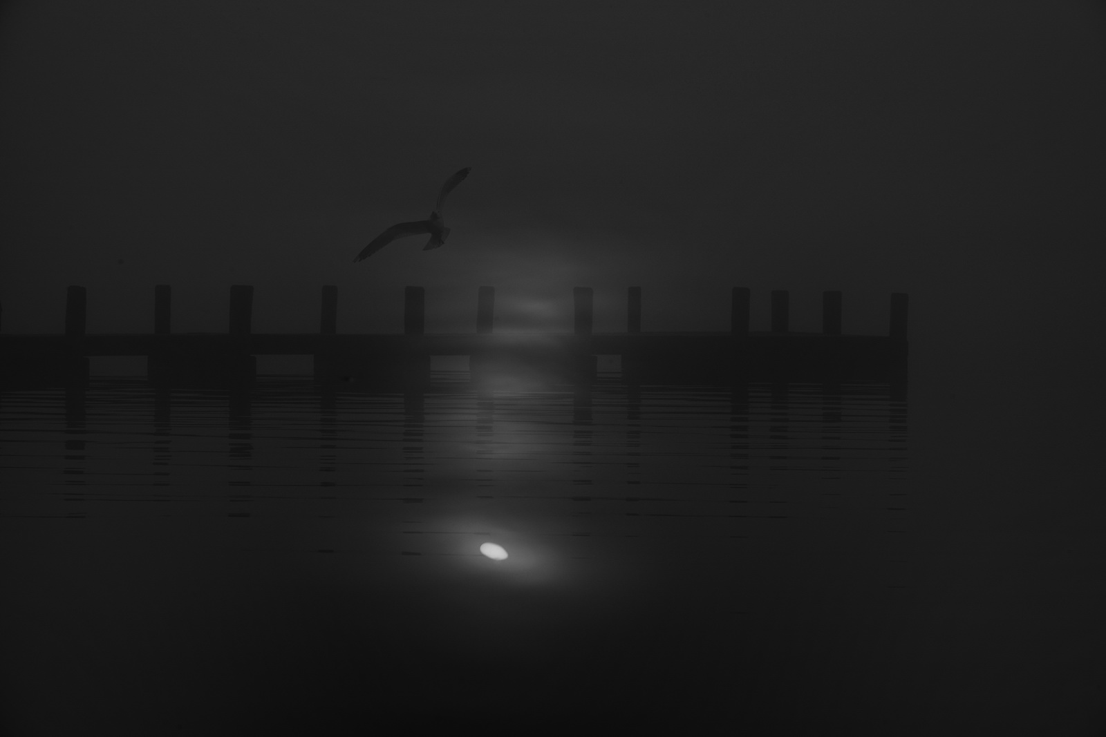 Darkside.of.the.sea 2015