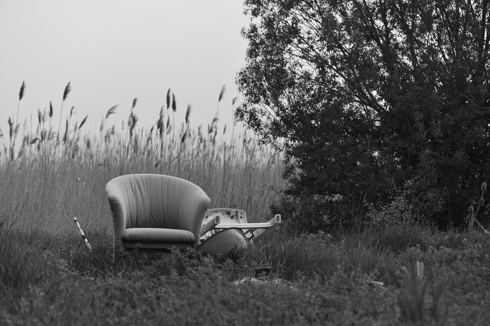 Human.footprints.in.the.fields 2013