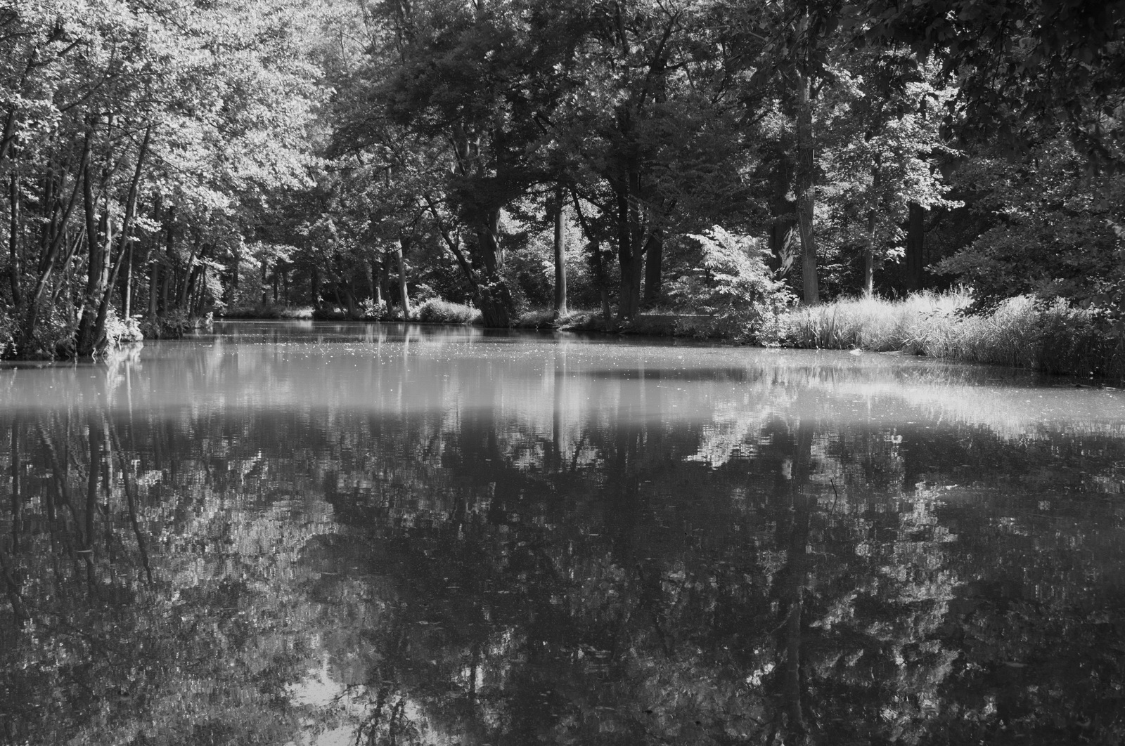 Serenity.in.schlosspark.laxenburg1 2009