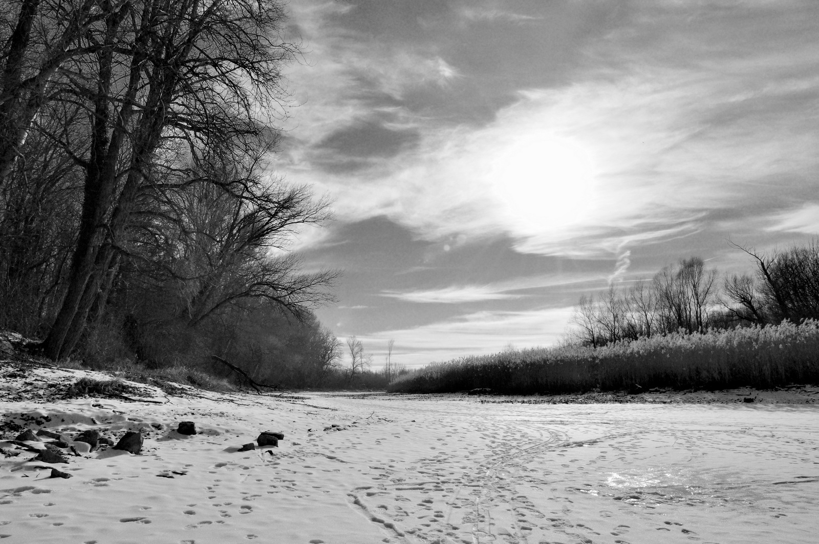 Snowy.swamplands.in.january 2009