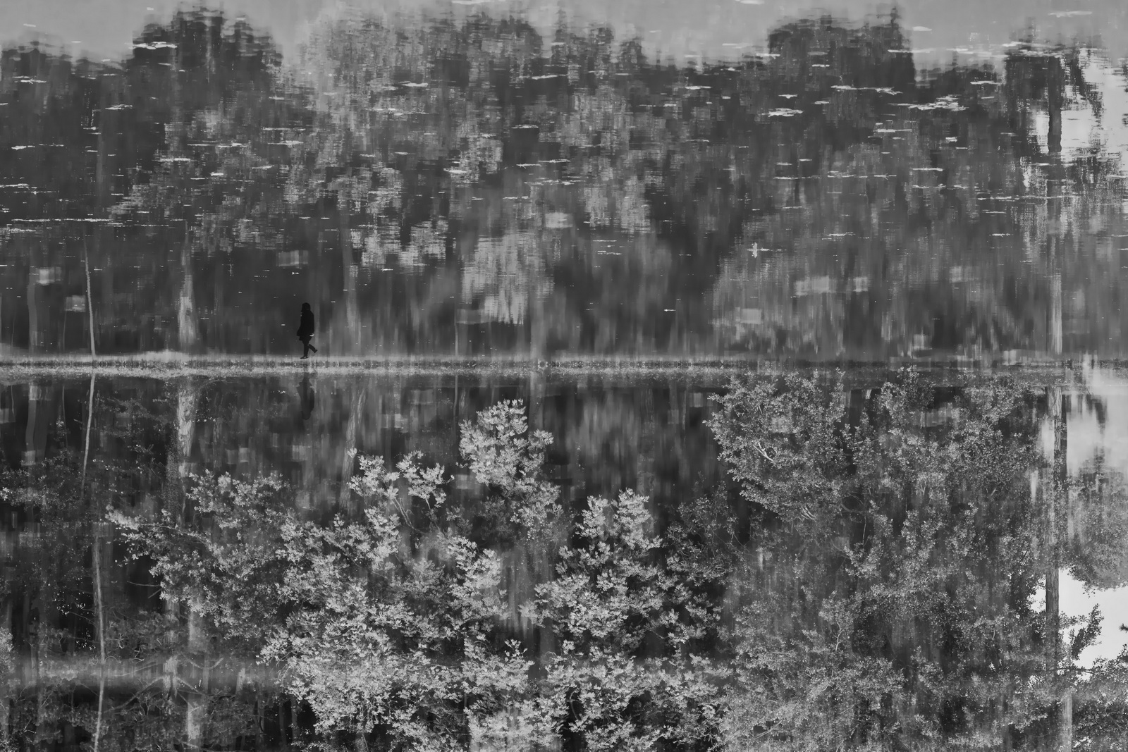 Unknown.passerby.in.the.park 2014