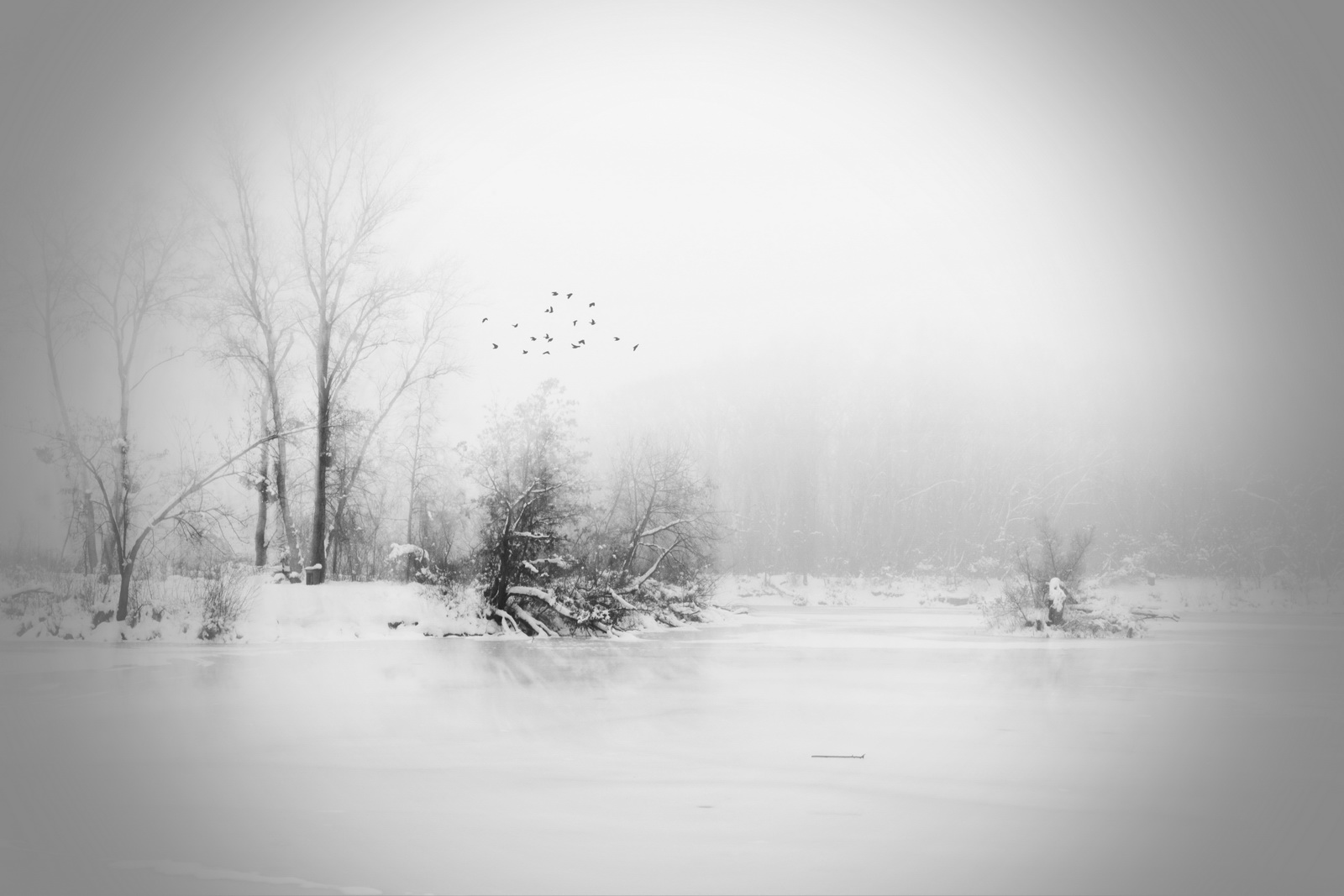 Winter.silence 2013